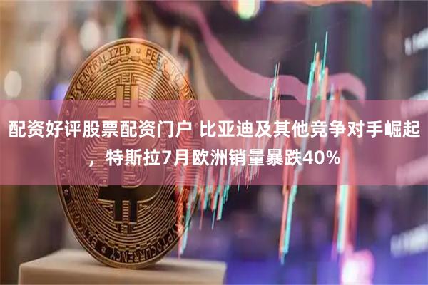 配资好评股票配资门户 比亚迪及其他竞争对手崛起，特斯拉7月欧洲销量暴跌40%