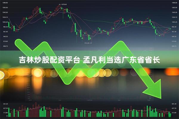 吉林炒股配资平台 孟凡利当选广东省省长